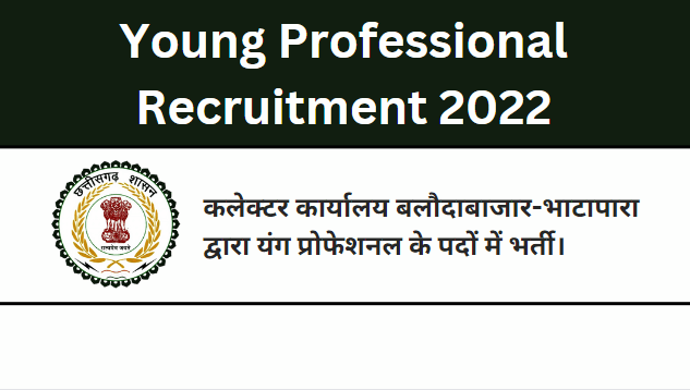 Young Professional Recruitment 2022