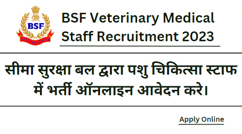 BSF Veterinary Medical Staff Recruitment 2023