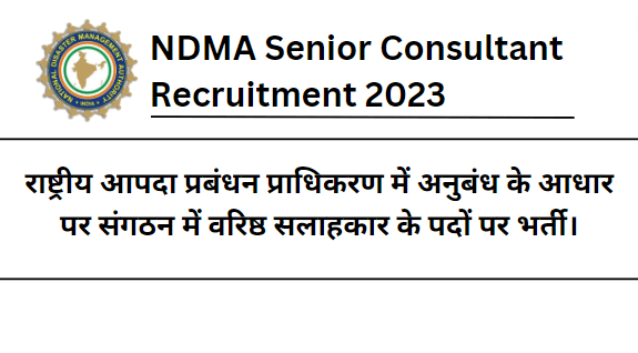 NDMA Senior Consultant Recruitment 2023