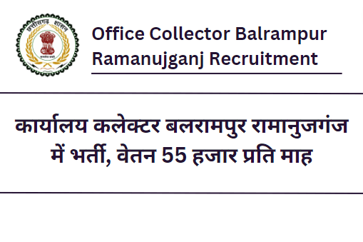 Office Collector Balrampur – Ramanujganj Recruitment 2023